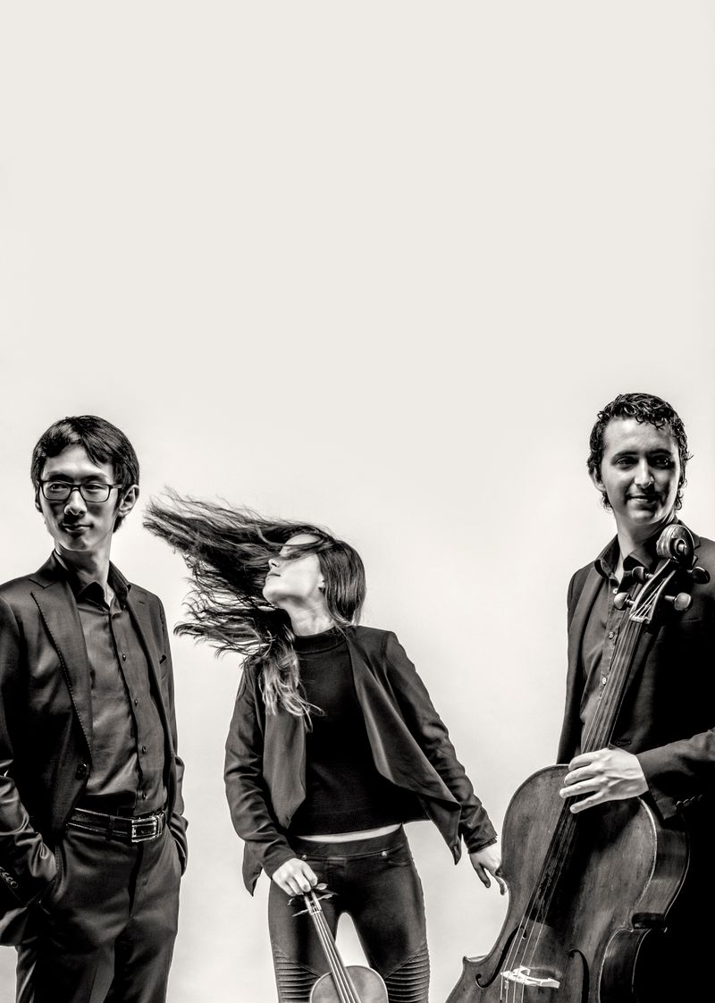 Amatis Trio 3 - Allard Willemse
